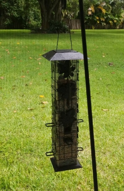 Bird Feeder 2LB Squirrel Proof Outdoor Wild Bird Feeder g2q4CqIRI
