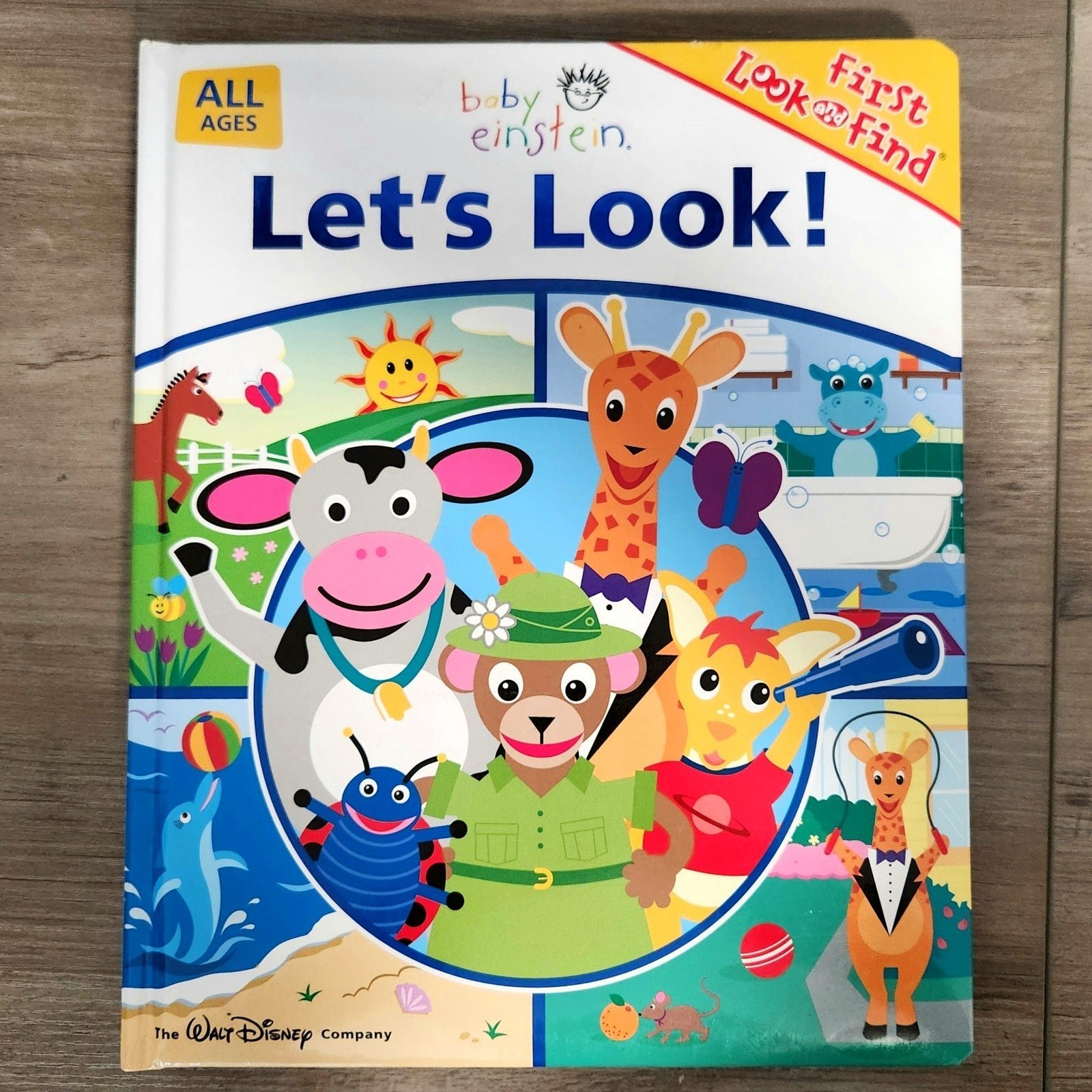 Baby Einstein, Let´s Look First Look and Find Book
