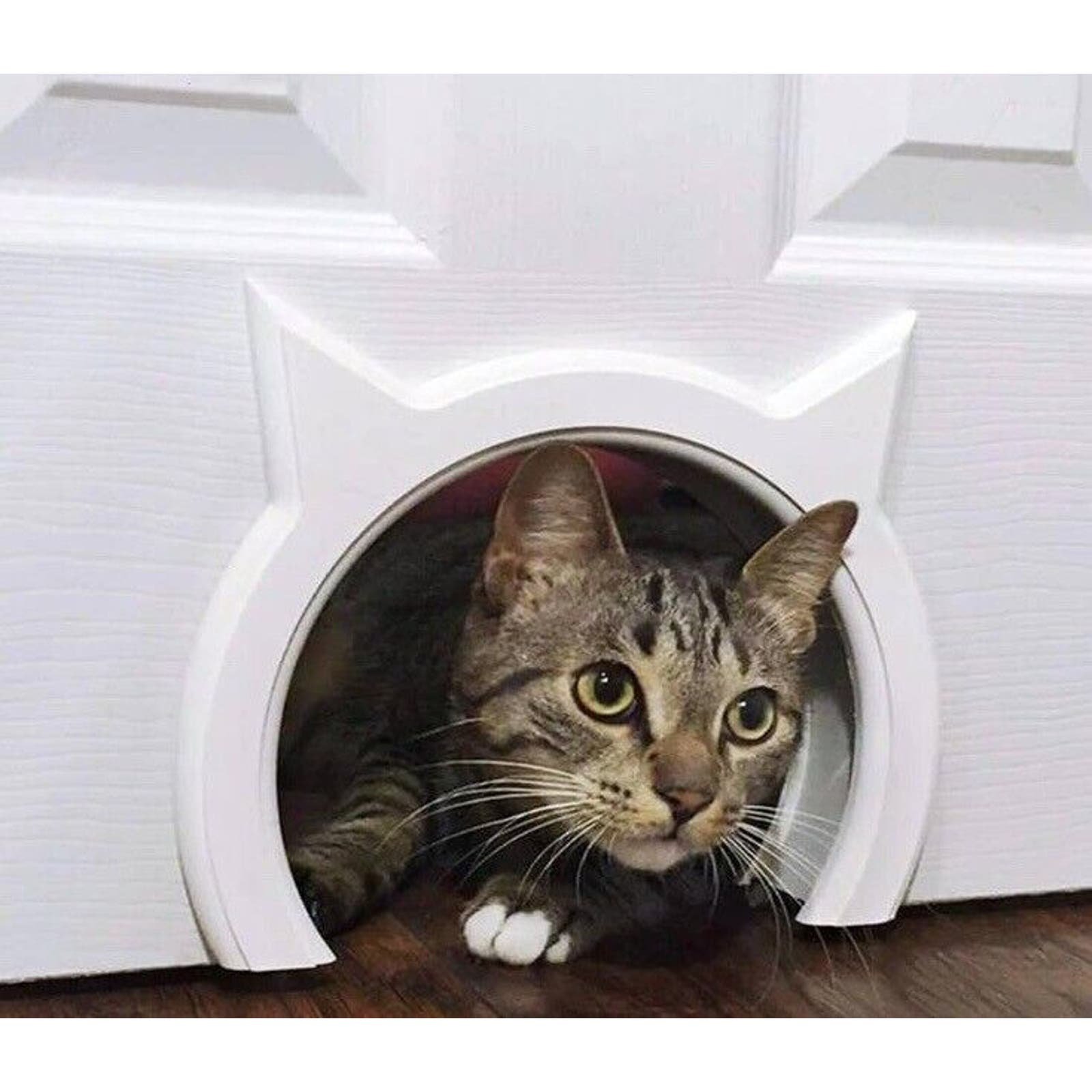 The Kitty Pass Interior Cat Pet Door Pass Through White installation kit FvDvPSaTK