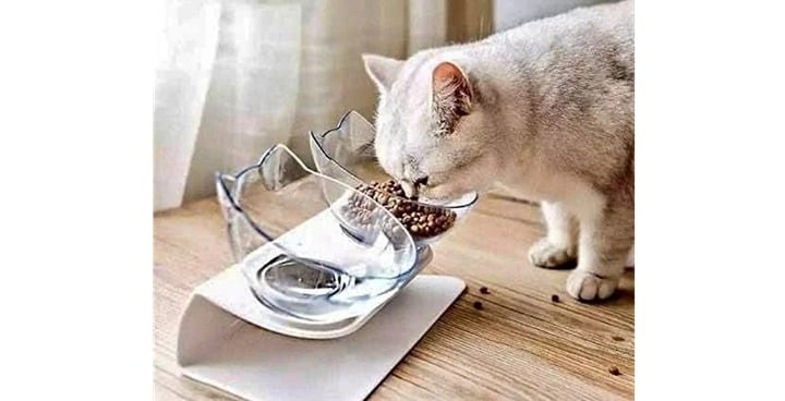Non-Slip Double Cat Bowl I With Raised Stand I Pet Food