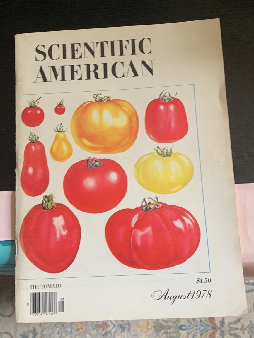 Vintage Scientific American, August 1978, Great Conditi
