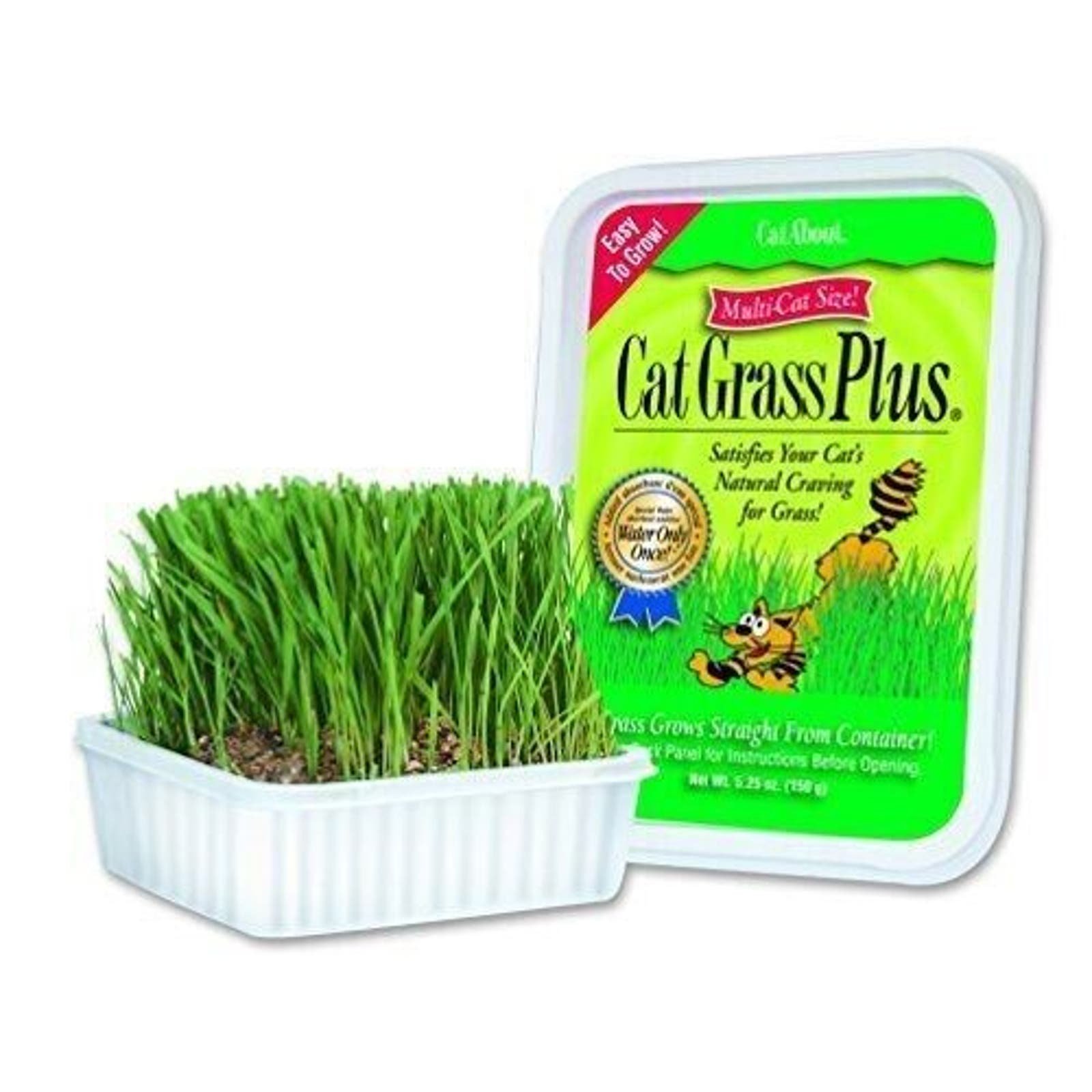 Cat Grass Plus Multi-Cat Tub 150 grams Cat-A´bout Miracle Care Easy to Grow Kit gGKxTfr88