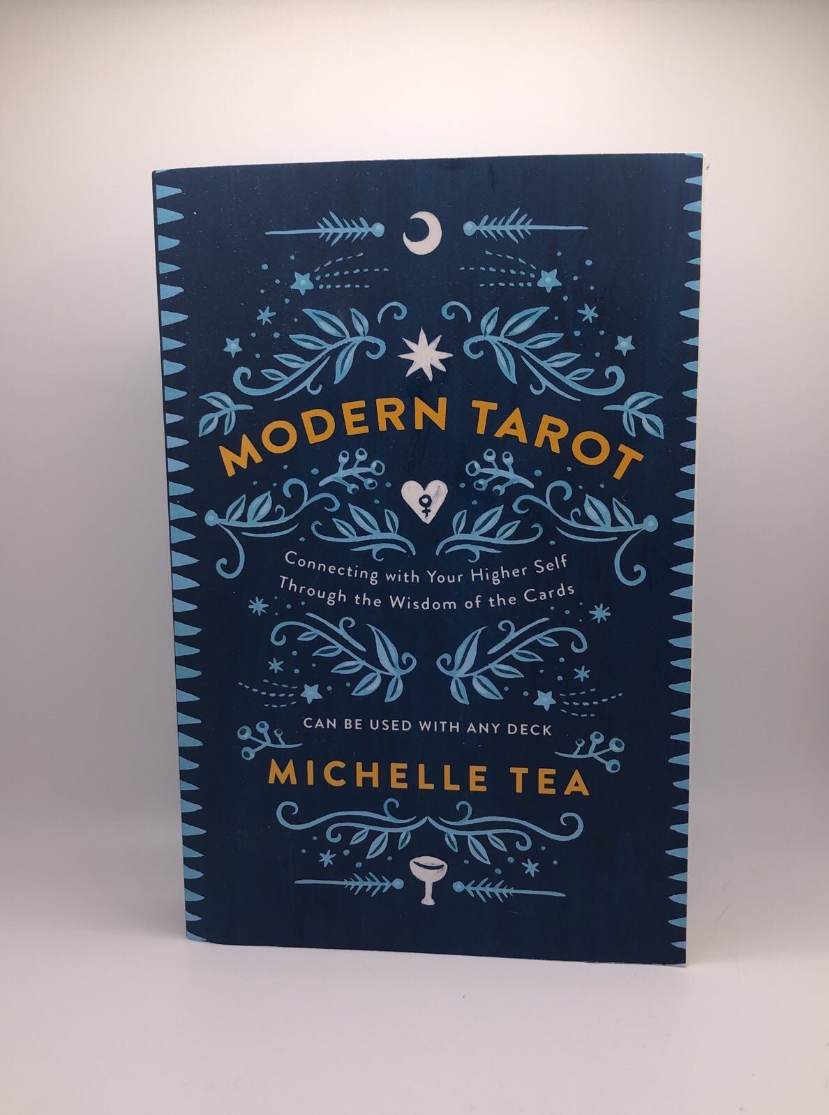 Modern Tarot book by Michelle Tea 8oUuxxrqf