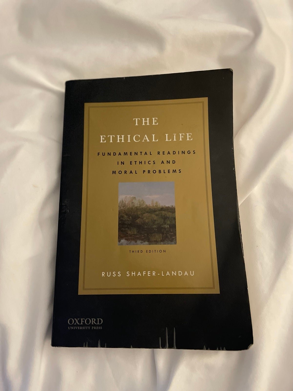 The Ethical Life Fundamental Readings In Ethics And Mor