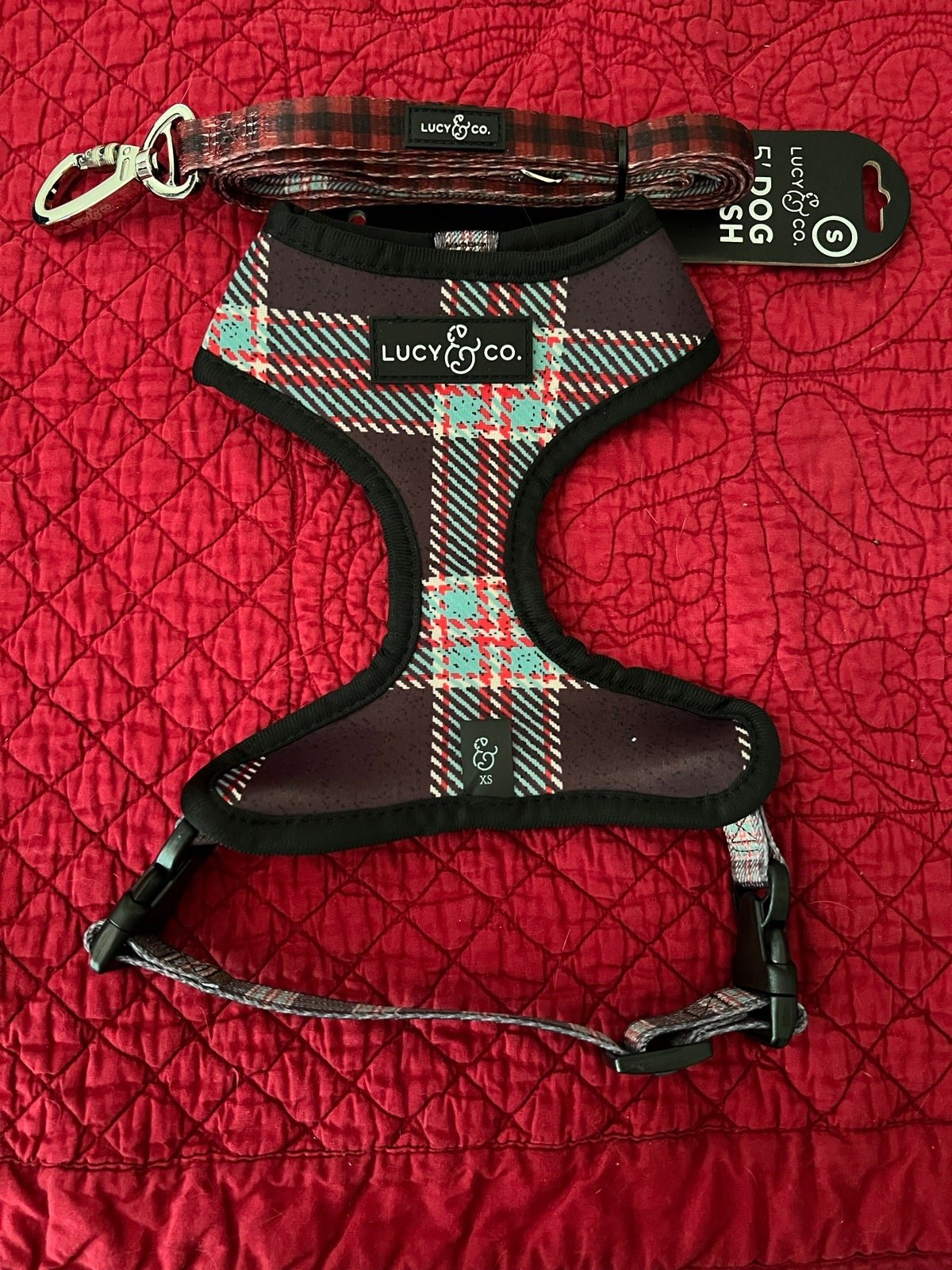 Lucy & Co Reversible Harness with Matching Leash - xs 2