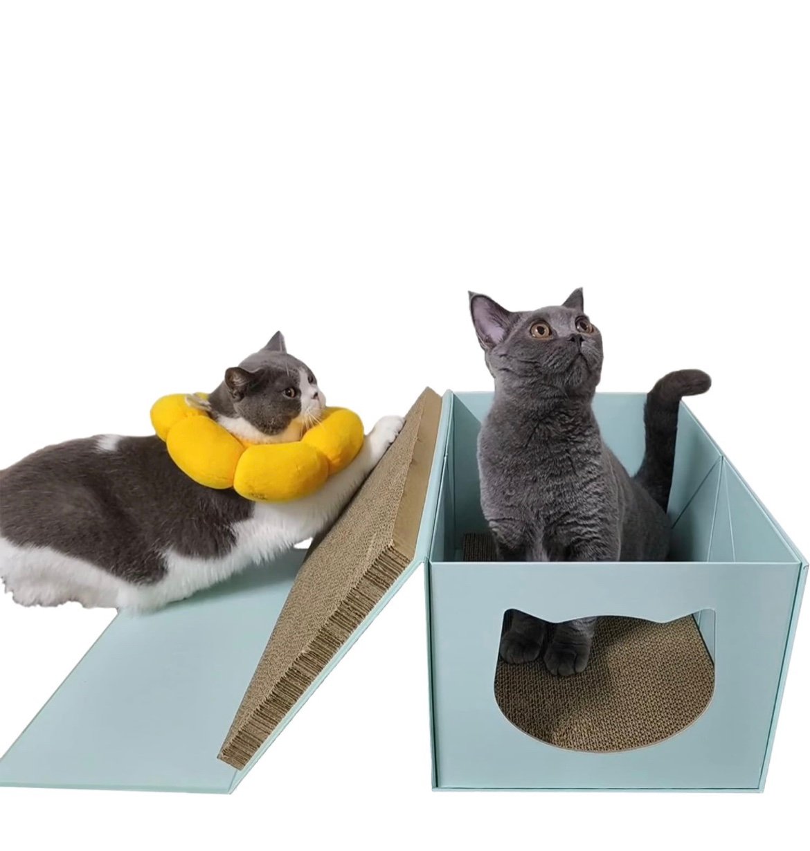 Cat Scratcher and House e315FauAY
