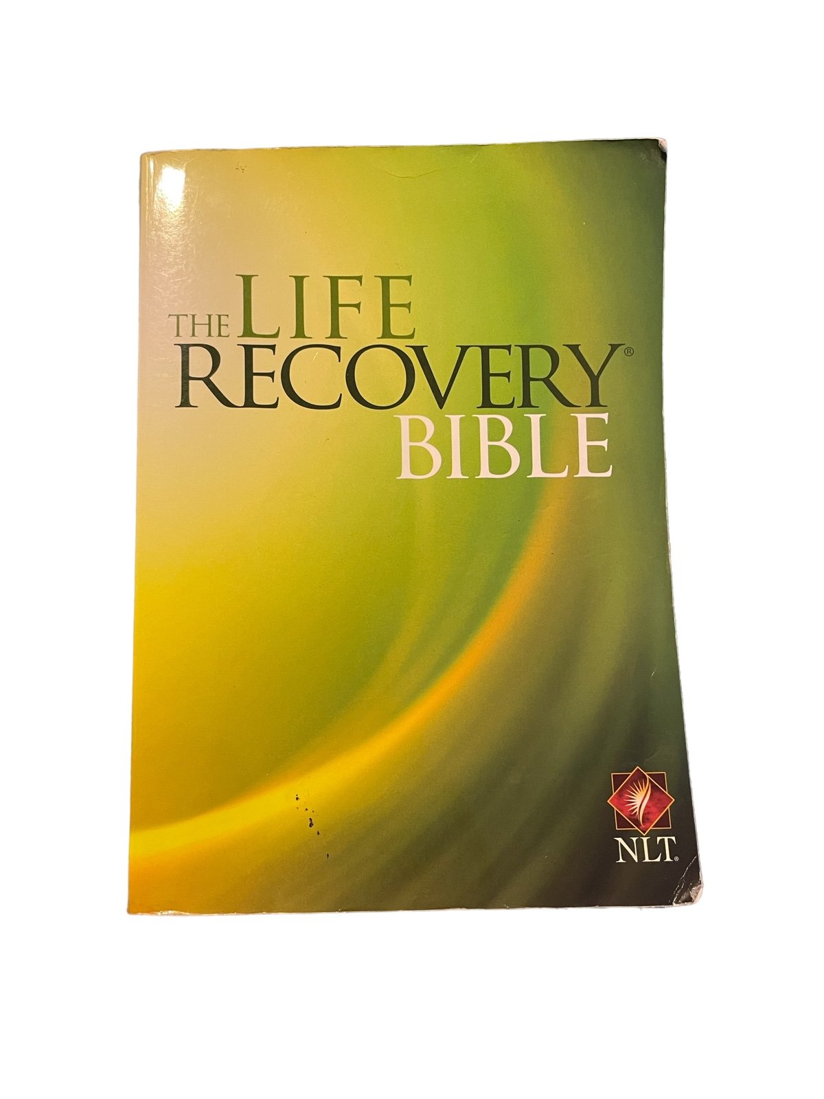 Life Recovery Bible - NLT 0yKnWKCTN