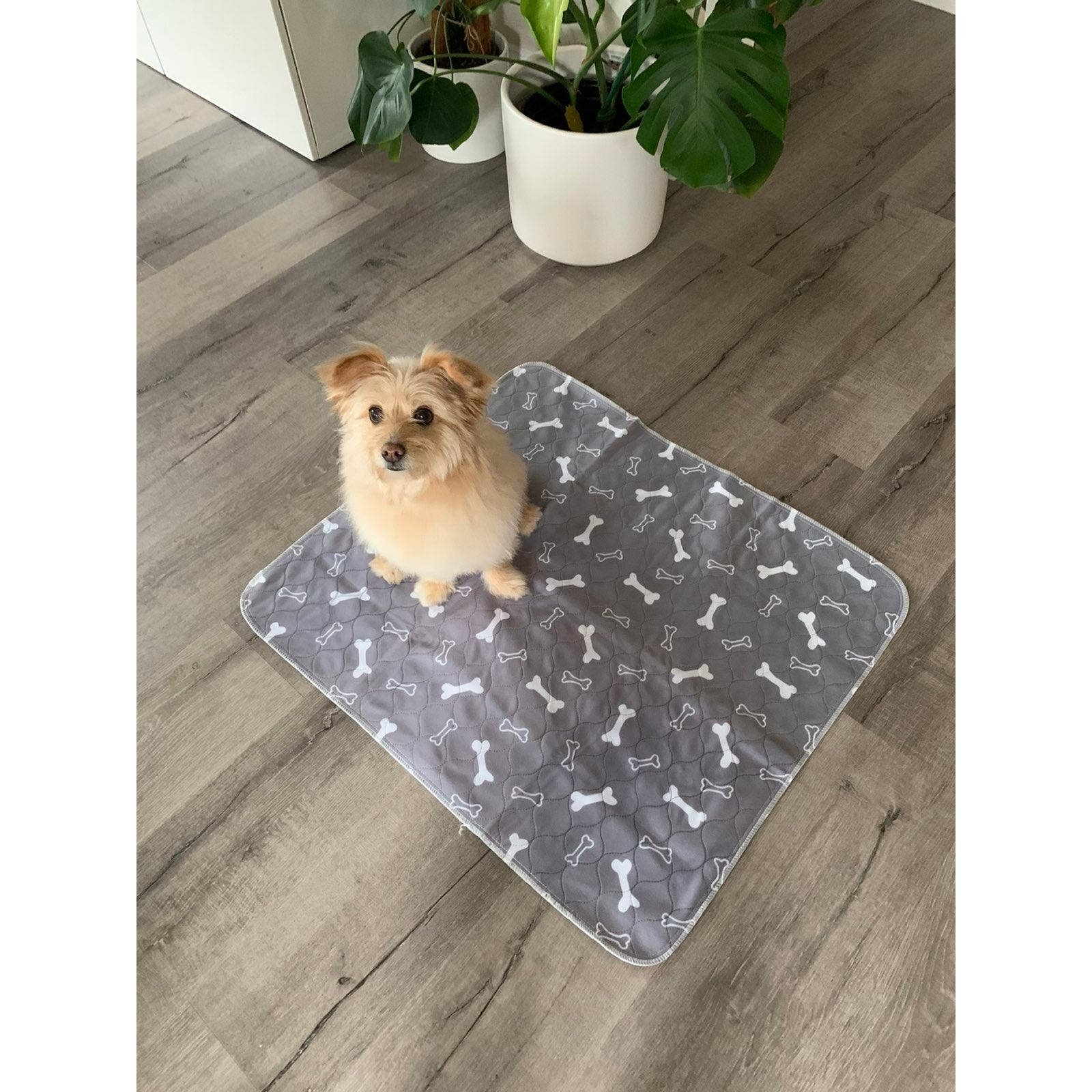 Reusable and washable pet pad 1oolZoeln