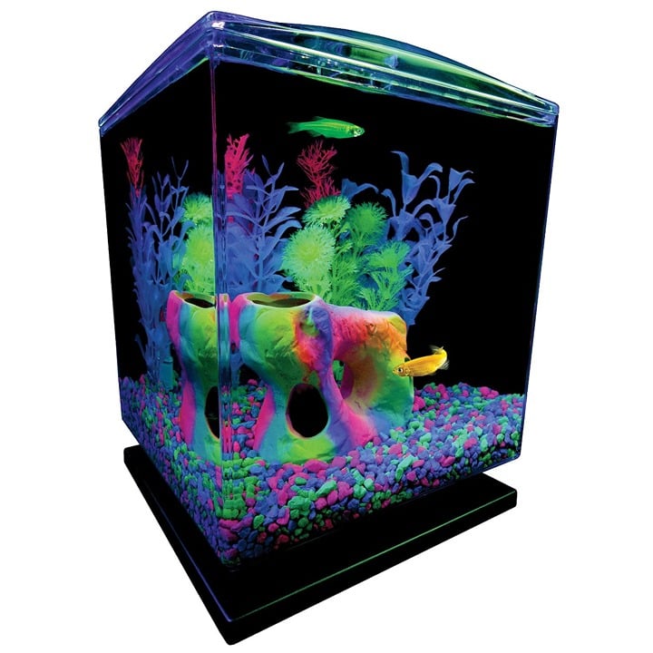 Betta Glass Aquarium Kit 1.5 Gallons, Easy Setup and Maintenance-ADWA280 Aiv25z77J