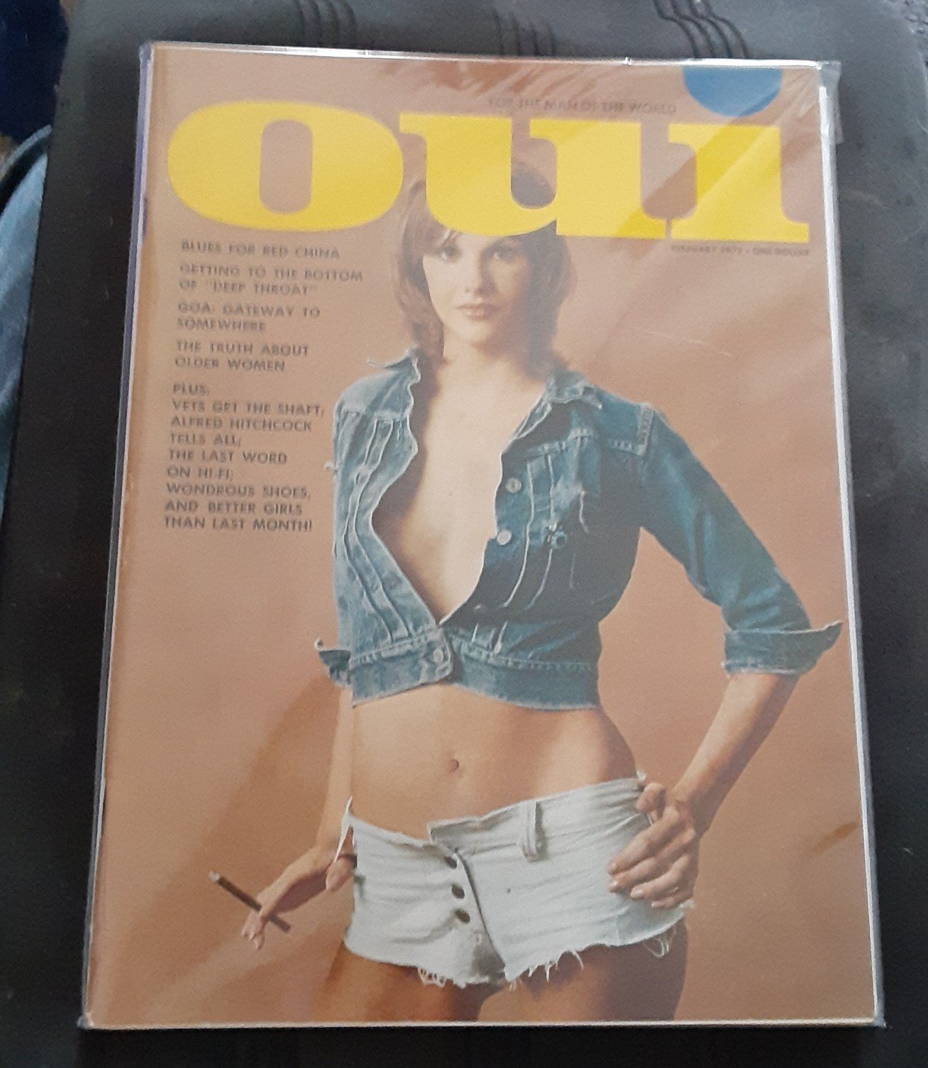 Oui magazine February 1973 C7dwxiFN6