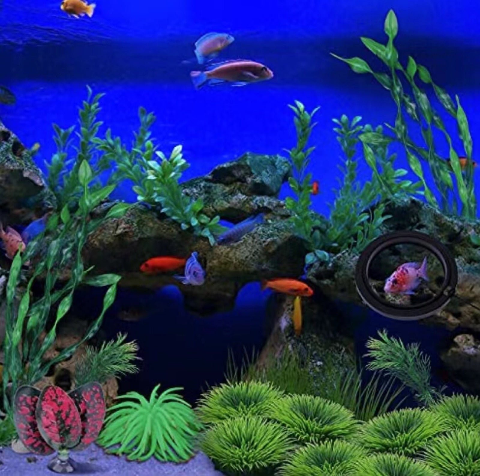 Fish Tank Decorations Set Artificial Aquatic Plants Lif