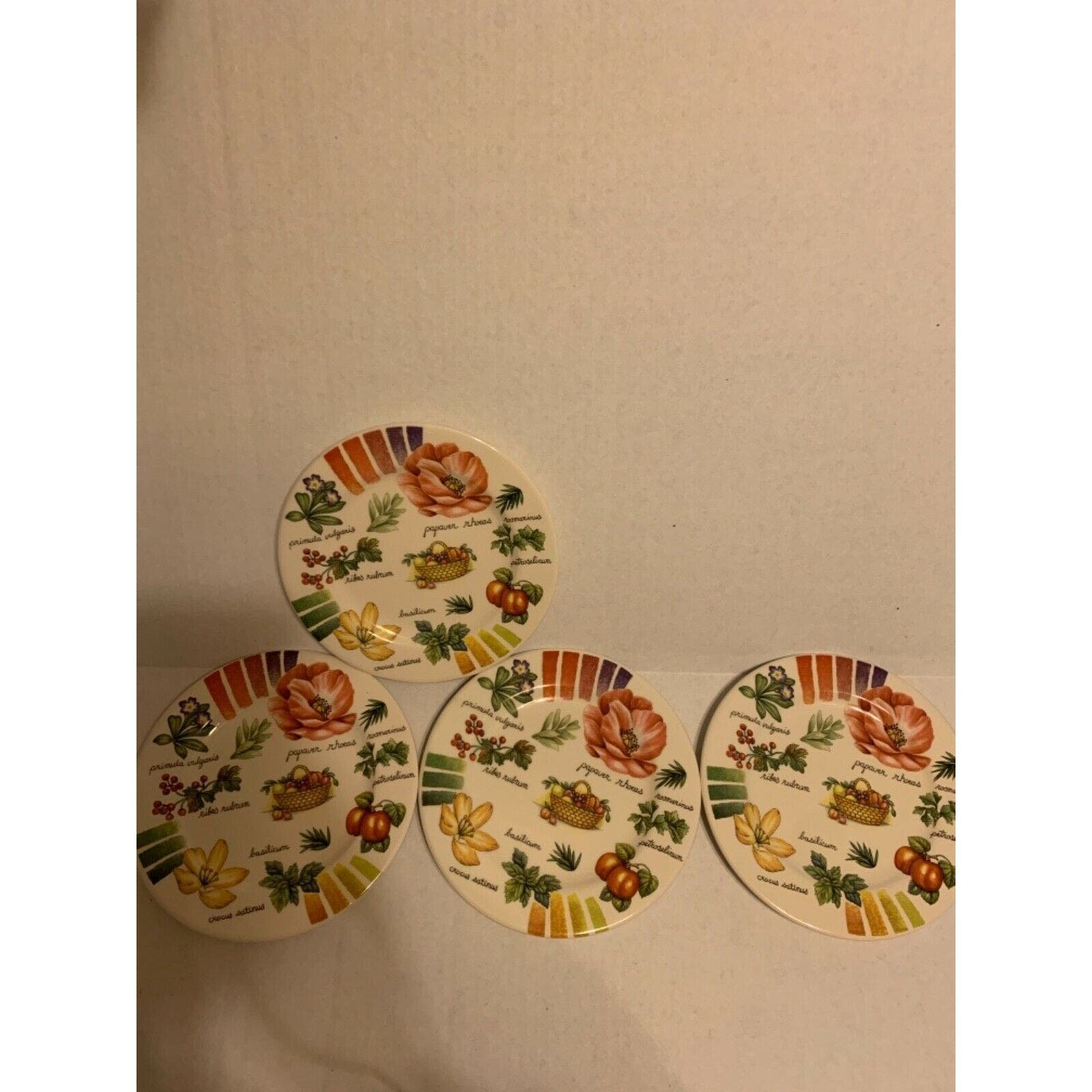 Harvest of Fruits Set of four salad plates 8.5 inches Made in Italy Pre-owned 41Gu1vkH6