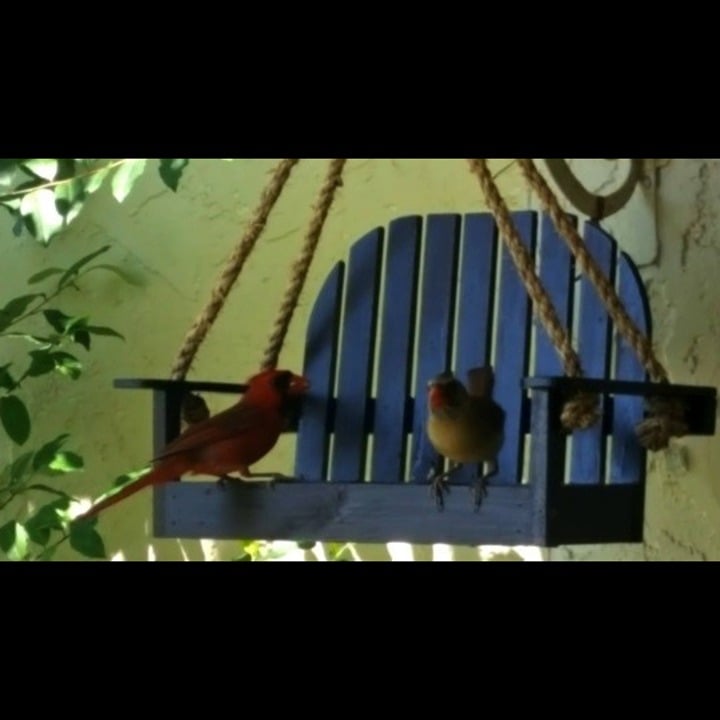 Wooden Hanging Brown Bird Feeder Bench Swing Seat Seed 