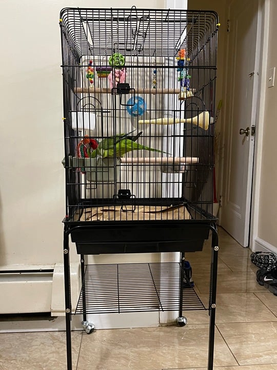 NEW Open Top Rolling Parrot Bird Cage fGN8CmGRH