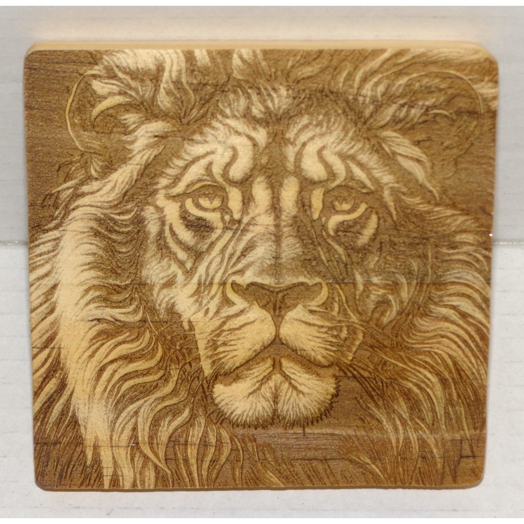 Beautiful 3D engraved coasters of a lion. 2fxsrE6Lw