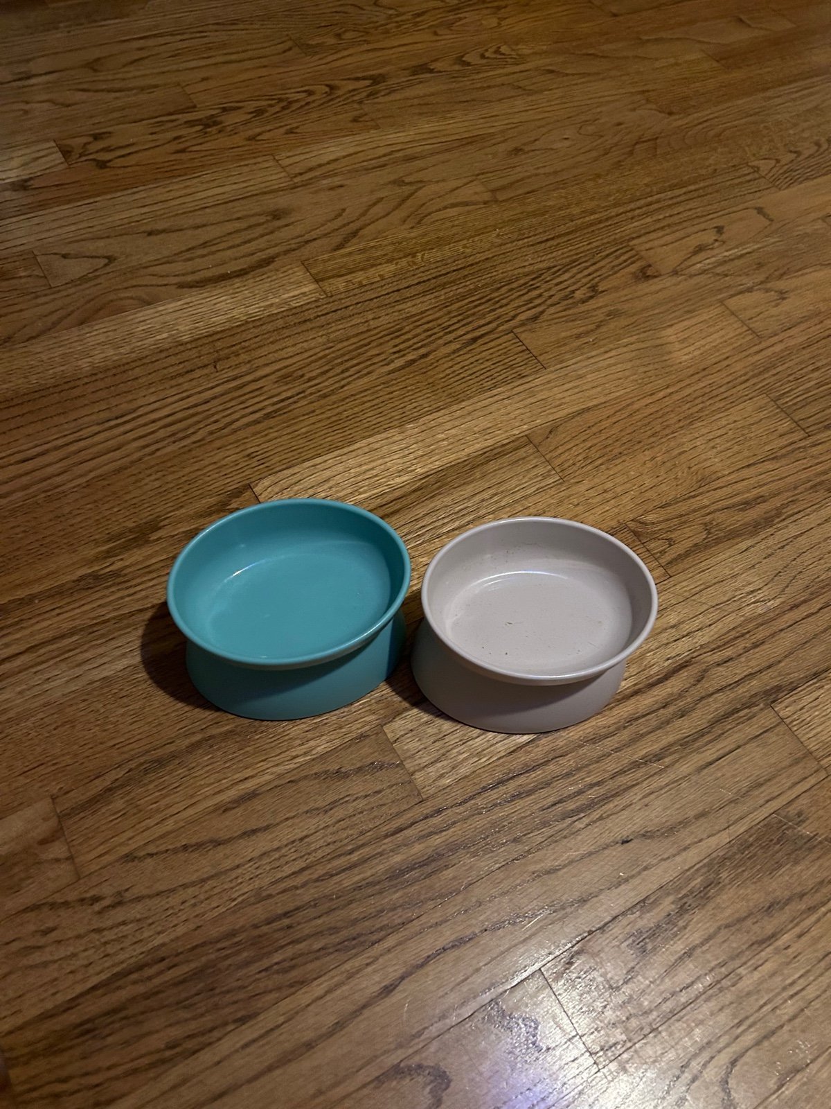 Cat / small dog food and water bowl 4TvaTyr1y