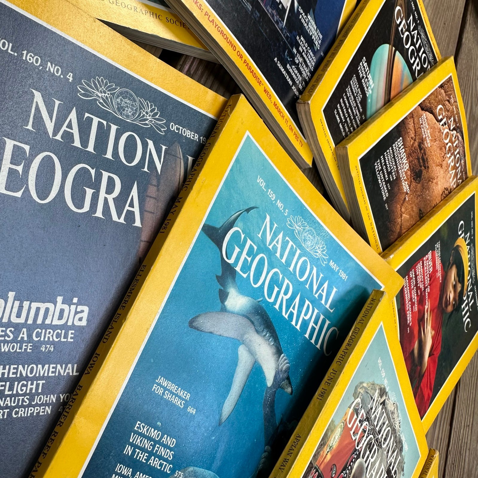 Lot of 9: 1981 National Geographic Magazines Volumes 159, 160 G79vMZjlY