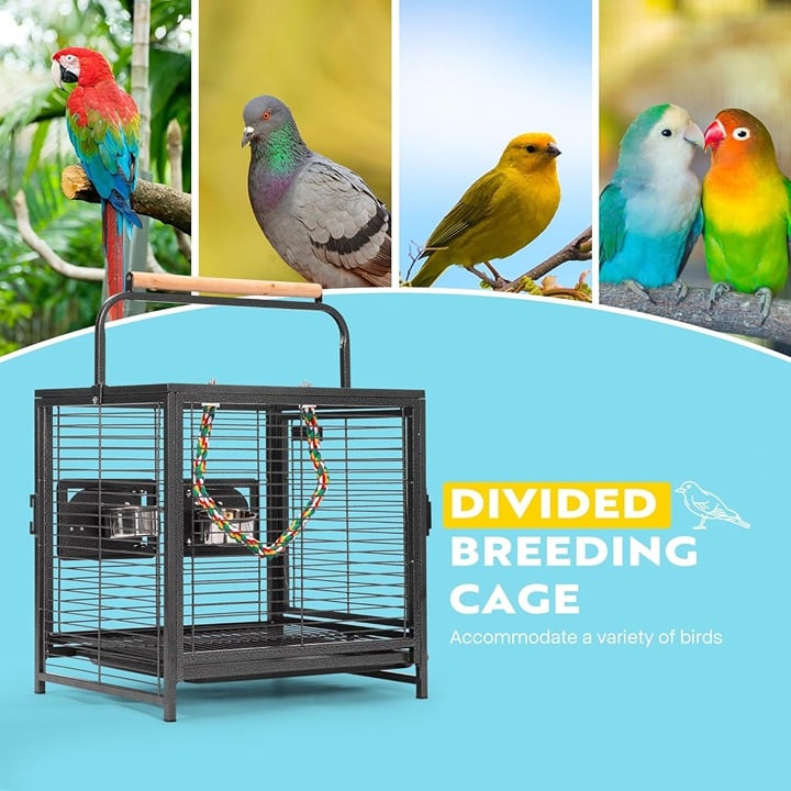 New Bird Travel Cage: Wrought Iron, Black ajb1gdQr5
