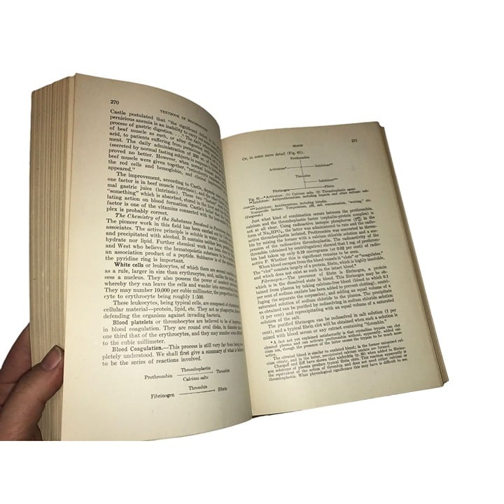 Vintage Textbook of Biochemistry - Third Edition- W.B. Saunders Company 1943 fjqJGlNbA