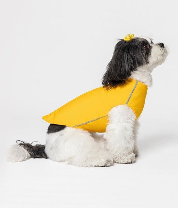 Adventure-Ready Medium Yellow Dog Vest – Waterproof, Scratch & Dirt Resistant FRz4f92GP