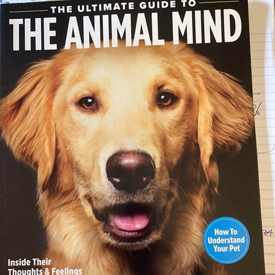 The Ultimate Guide to the Animal Mind- Magazine DOVLYKSi3
