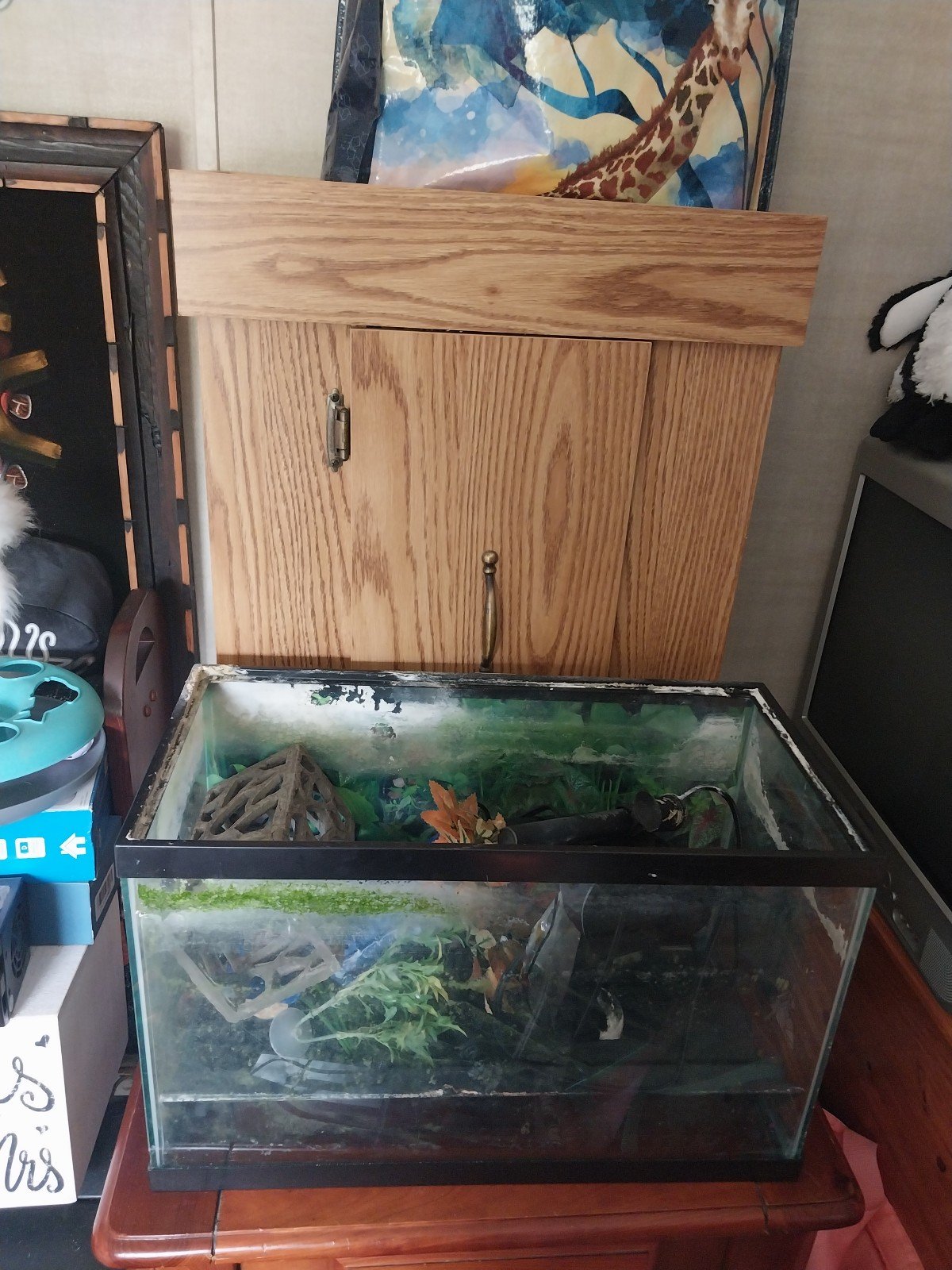 10 Gallon Fish Tank with Stand a55WHkoED