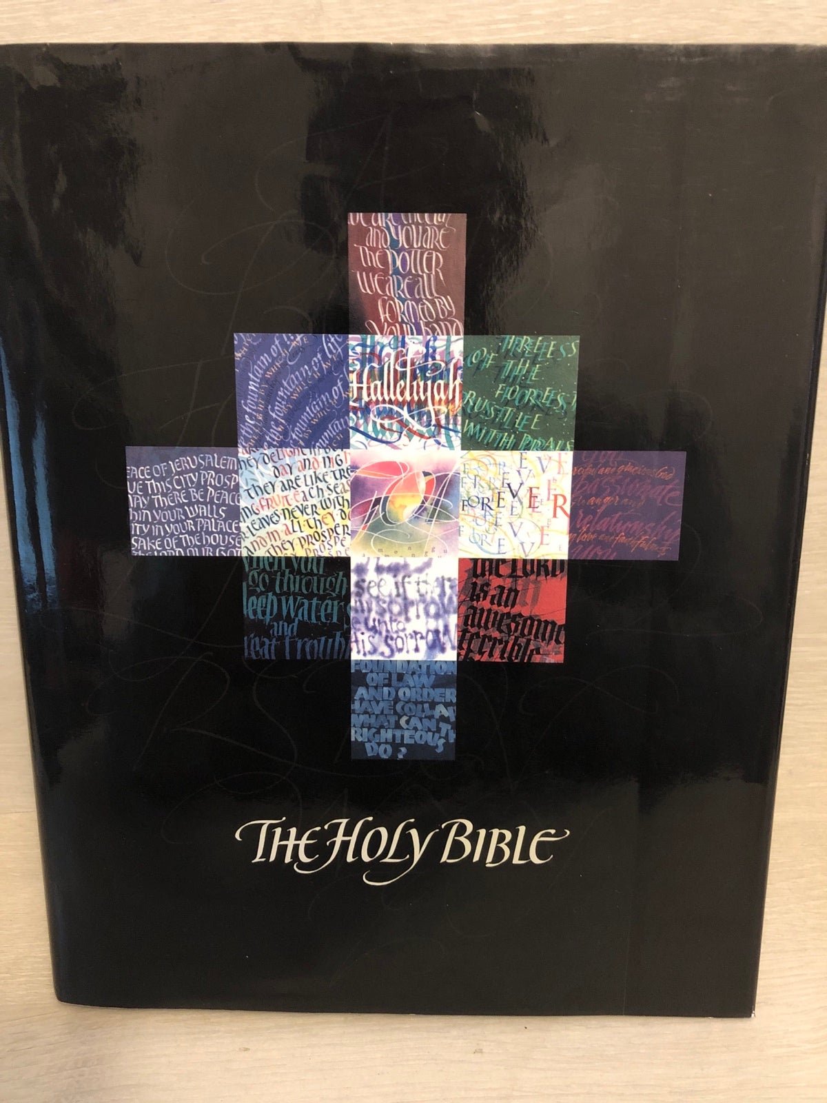 Holy Bible, NLT, Timothy Botts Illustrated edition 1st 