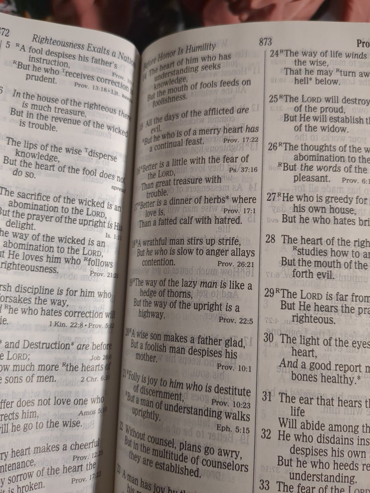 Holy Bible the new king James version 1992 70zO3dJKL