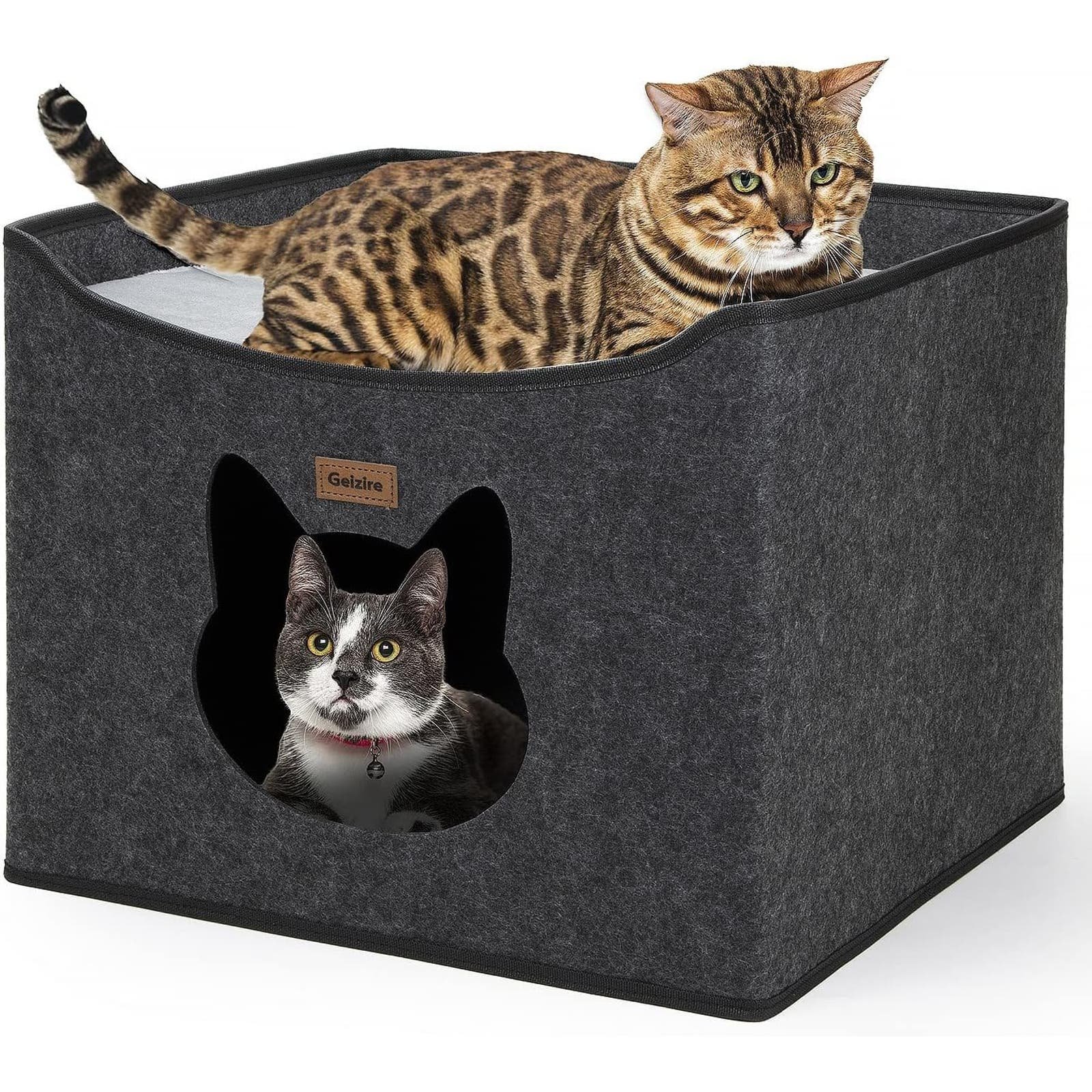 Cat House Cat Beds for Indoor Cats, Large Cat Hideaway with Cute Interesting Ope EF6IMR0dz