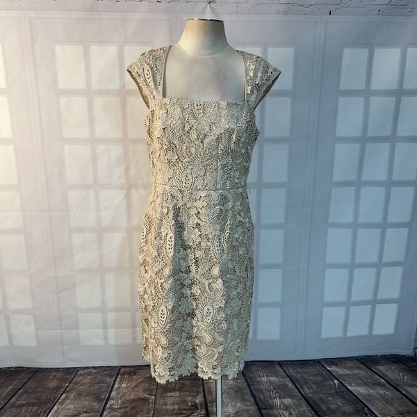 Adrianna papell champagne gold lace cap sleeve sheath d