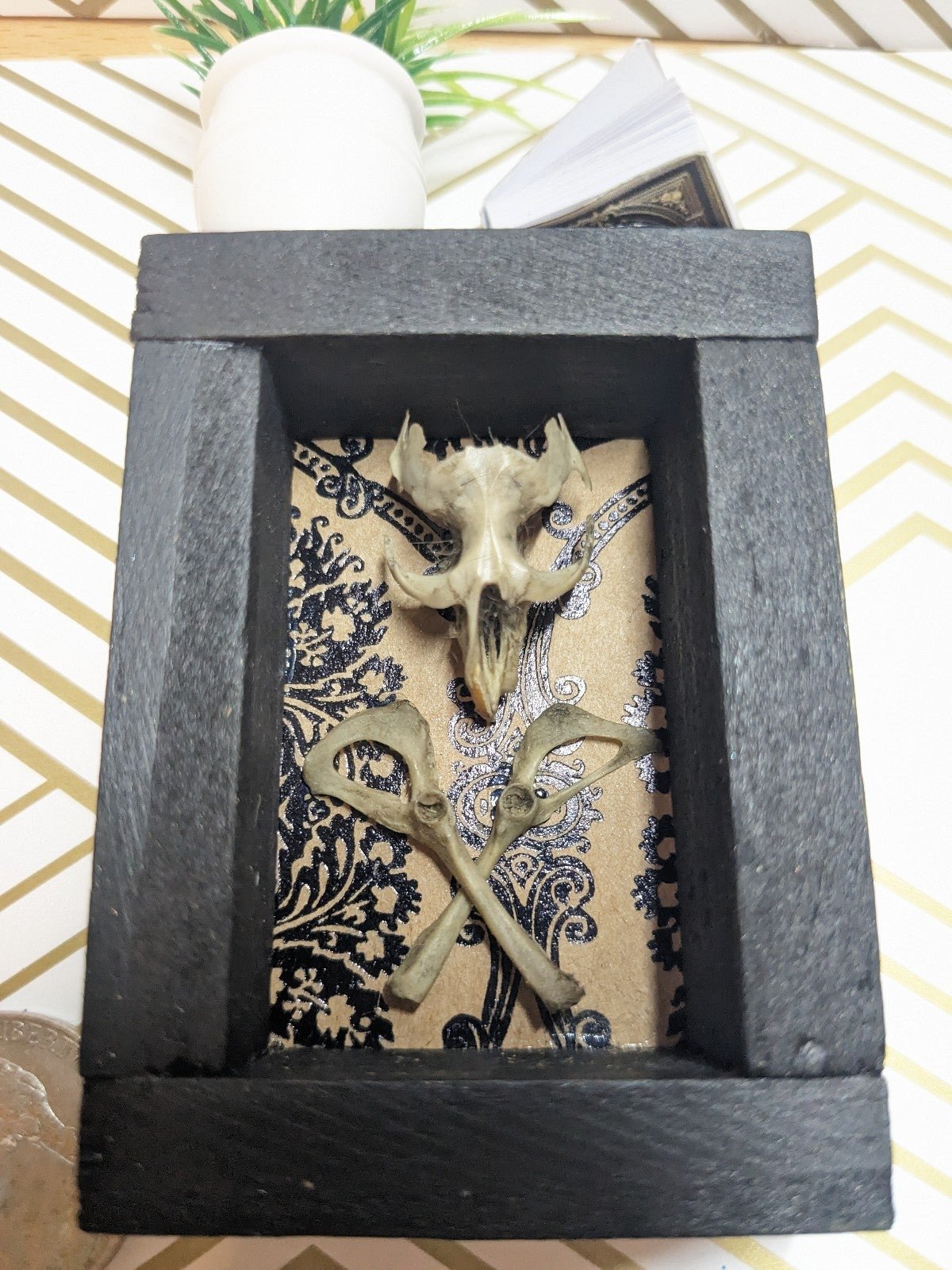 Handcrafted Framed oddities ooak ethically sourced mouse bones eBlbzL9Vt