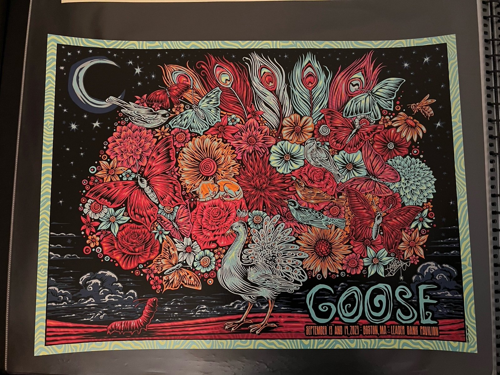 Goose Boston, MA – 9/13 + 9/14 Poster by Todd Slater – Butterflies /85 Web Var 3YEJhFwWH