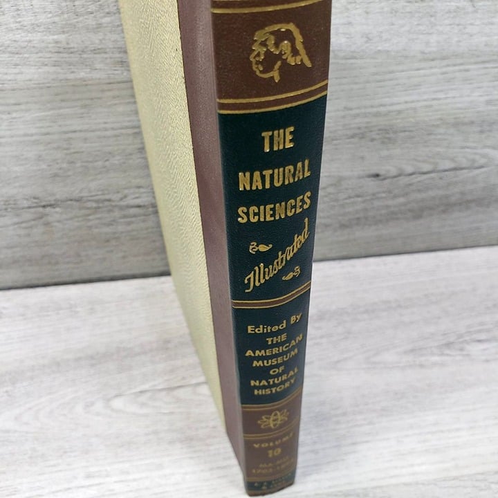 1959 The Natural Sciences Illustrated Old Vintage Book 