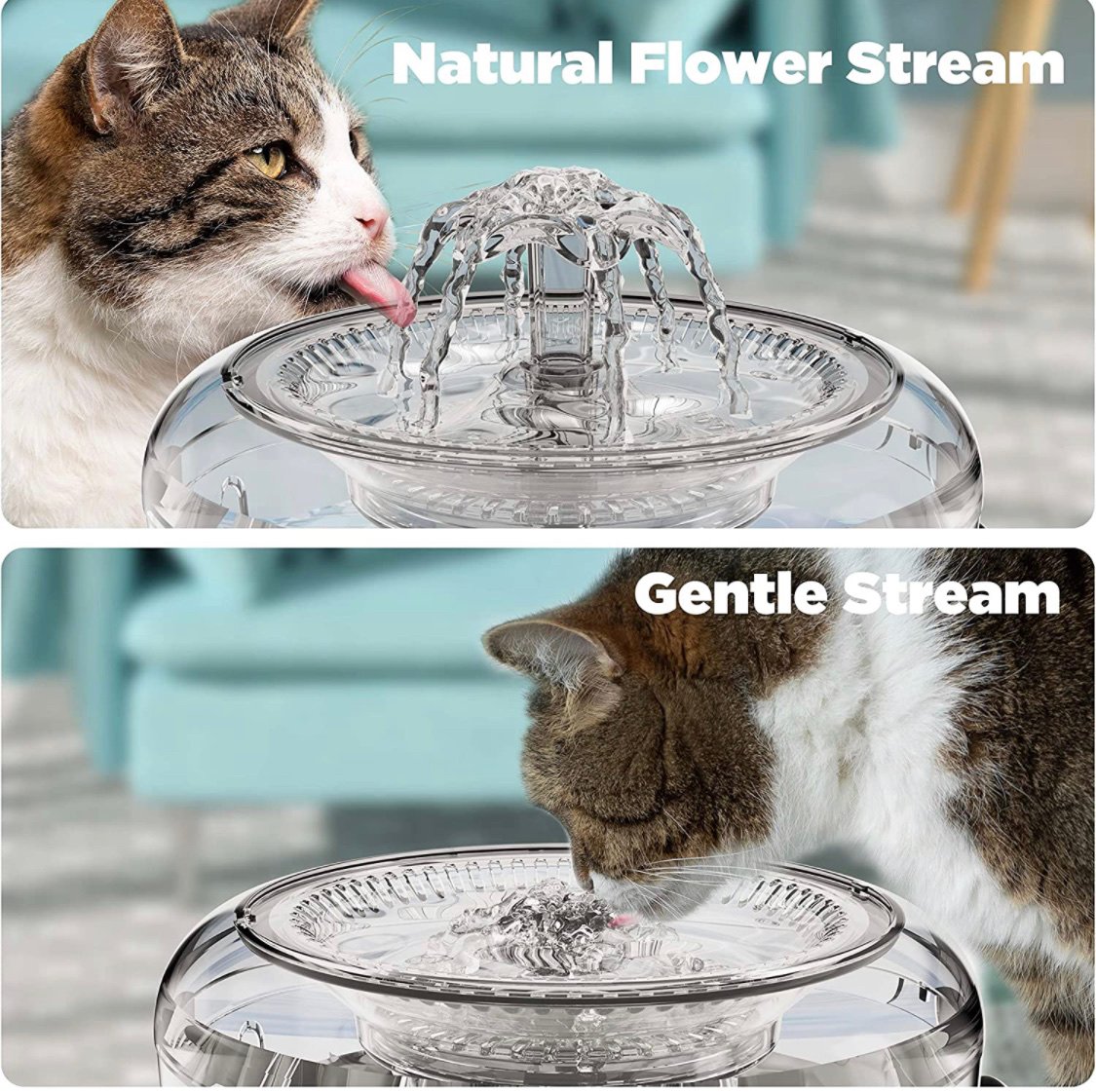 Ciays Cat Water Fountain, 81oz/2.3L Automatic Pet Water Fountain Dog Water Dispe fReS2wRGb